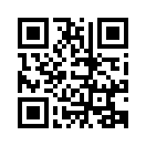 QR CODE 31