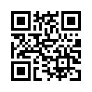 QR CODE 53