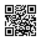 QR CODE 133