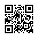 QR CODE 31
