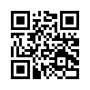 QR CODE 110