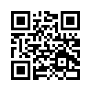 QR CODE 113