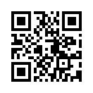 QR CODE 53