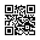 QR CODE 91
