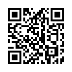 QR CODE 133