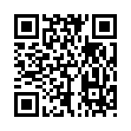 QR CODE 228
