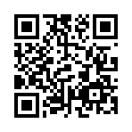 QR CODE 31