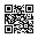 QR CODE 119