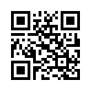 QR CODE 65