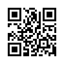 QR CODE 133