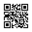 QR CODE 110