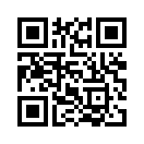 QR CODE 133