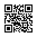 QR CODE 216