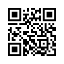 QR CODE 31