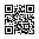 QR CODE 53