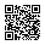 QR CODE 89