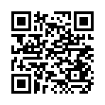 QR CODE 91