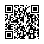 QR CODE 93