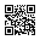 QR CODE 110