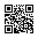QR CODE 133