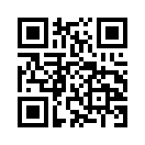 QR CODE 31