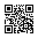 QR CODE 316