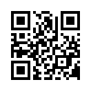 QR CODE 317