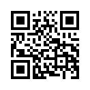 QR CODE 329