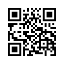 QR CODE 336