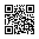 QR CODE 344