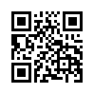 QR CODE 394
