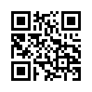 QR CODE 42
