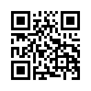 QR CODE 494