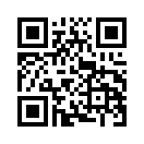 QR CODE 511