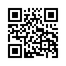 QR CODE 519
