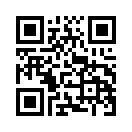 QR CODE 528