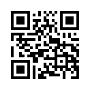 QR CODE 529