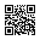 QR CODE 677