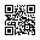 QR CODE 734