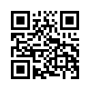 QR CODE 737