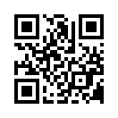 QR CODE 813