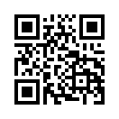 QR CODE 913