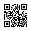 QR CODE 31
