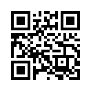 QR CODE 65