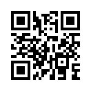 QR CODE 110