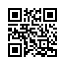 QR CODE 113