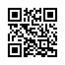 QR CODE 133