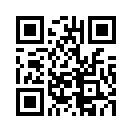 QR CODE 29