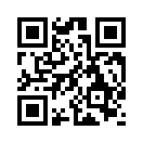 QR CODE 53
