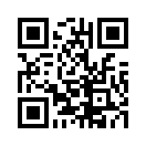 QR CODE 79